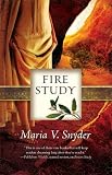 [Book] Fire Study