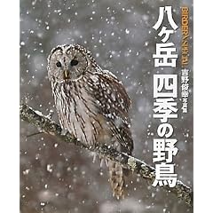 �����x �l�G�̖쒹�\�g��r�K�ʐ^�W (BIRDER SPECIAL)
