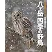 �����x �l�G�̖쒹�\�g��r�K�ʐ^�W (BIRDER SPECIAL)