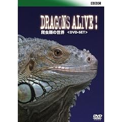 BBC ঒��ނ̐��E DVD-SET