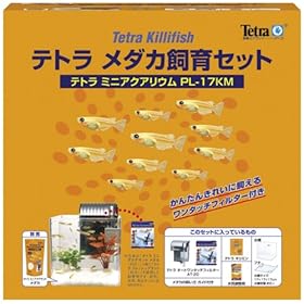 �e�g�� ���_�J����Z�b�g PL-17KM