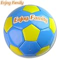 �G���W���C�t�@�~���[ �~�j�T�b�J�[�{�[�� FSP-1619