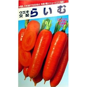 �N�����n��ɍœK!�@�炢��(�E�G�L��z)�@����:2dl