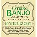 D'Addario �_�_���I �o���W���[�� J-60 5-String/Light/Nickel