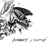 [CD]POSSIBILITY sanagi