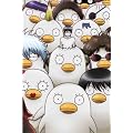 �⍰�f 09(���S���Y�����) [DVD]