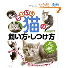 ���킢���L�̎������E������