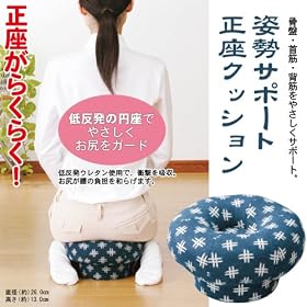 �A�C���f�B�A �p���T�|�[�g�����N�b�V����