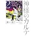 �_�l�̃J���e 2