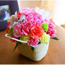 �A�����W(�L�����f�B)�y���������z