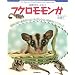 �t�N���������K�\�������r�M�i�[�Y�K�C�h (SMALL ANIMAL POCKET BOOK SERIES)