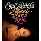 Sweet Soul Love
