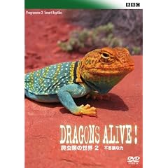 BBC ঒��ނ̐��E 2 �s�v�c�ȗ� [DVD]