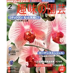 NHK ��̉��| 2012�N 02���� [�G��]