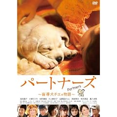 �p�[�g�i�[�Y�@~�ӓ����`�G�̕���~ [DVD]
