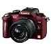 Panasonic �f�W�^�����J���� G2�����Y�L�b�g(14-42mm/F3.5-5.�t��) �R���t�H�[�g���b�h DMC-G2K-R