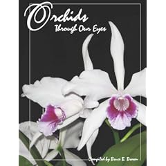 Orchids Through Our Eyes