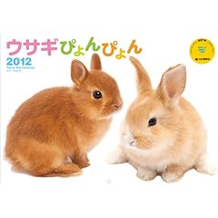 �J�����_�[2012 �E�T�M�҂��҂�� (Yama-Kei Calendar2012)