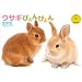 �J�����_�[2012 �E�T�M�҂��҂�� (Yama-Kei Calendar2012)