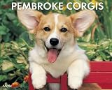 [Book] Just Pembroke Corgis 2009 Calendar (Just)