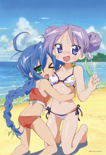 300ピース らき☆すた ツーショット 26-135S