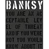 Banksy: You Are an Acceptable Level of Threat and if You Were Not You Would Know About It