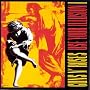 Use Your Illusion I