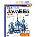 �}�X�^�����OJavaEE5 ��2�� (DVD�t) (Programmer�fs SELECTION)