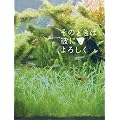 ���̂Ƃ��͔ނɂ�낵�� �X�y�V�����E�G�f�B�V����(2���g) [DVD]