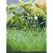 ���̂Ƃ��͔ނɂ�낵�� �X�y�V�����E�G�f�B�V����(2���g) [DVD]