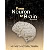 From Neuron to Brain
