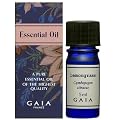 GAIA �������O���X 5ml�yHTRC3�z