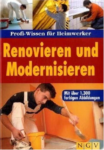  Renovieren und Modernisieren: Profi-Wissen für Heimwerker