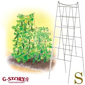 G-story �N���C�~���O �t�H�[���h �g�����X S