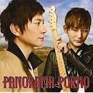 PANORAMA PORNO(���񐶎Y�����)(DVD�t)