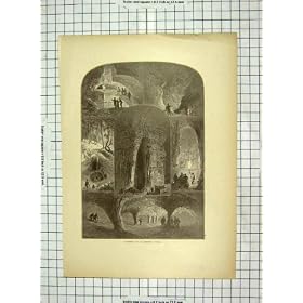 C1880 ��ʋ���ȓ��A���l�̊��̃P���^�b�L�[�̊R