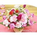 �y���������z�y�M�t�g�E���蕨�Ɂz�v���[���g�� �t�����[�A�����W�����g(�s���N�n)FL-MD-76