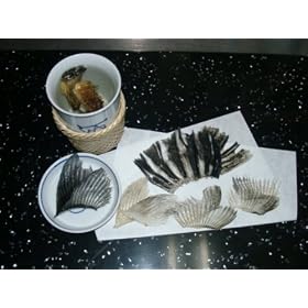 �q����p�q��