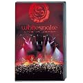 Live In Japan [NTSC] [DVD]