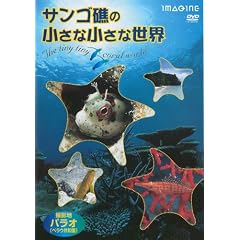 �T���S�ʂ̏����ȏ����Ȑ��E [DVD]