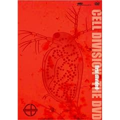 CELL DIVISION first divided the DVD