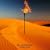 ETERNAL FLAME(DVD�t)