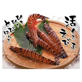 2011�N�����J�n��v�ē����ԊC�V 1kg 41~50��