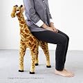 ��l�������Ă����v�I�����L��������̂ʂ�����݁������L�����i�ω׏d80KG�j