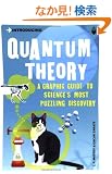 Introducing Quantum Theory: Graphic Design (Introducing (Totem Books))