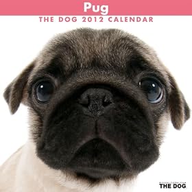 THE DOG �p�O 2012�N����ް