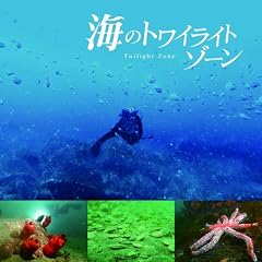 �C�̃g���C���C�g�]�[��