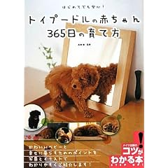 �g�C�v�[�h���̐Ԃ����365���̈�ĕ� (�R�c���킩��{!)