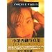 �O���r�A��A�C�h����DVD�E�ʐ^�W�Ȃ� Vol.2