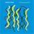The Bossa Project
